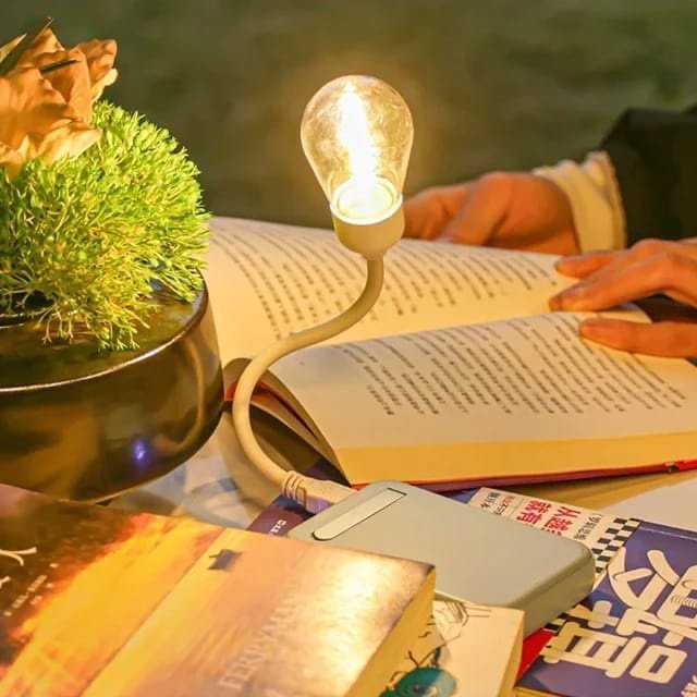 Book Reading/Night Light Lamp
